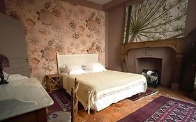 Authentic Flat In Dijon
